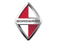 BORGWARD BX5 Tyres Online